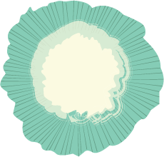 bulle-fleur-1