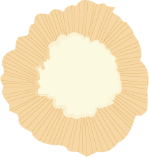 bulle-fleur-2