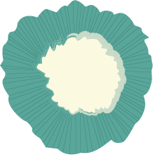 bulle-fleur-3