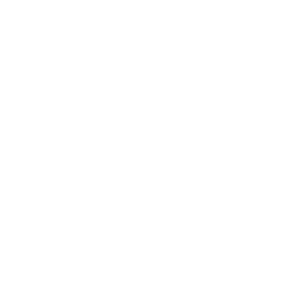 icon-04
