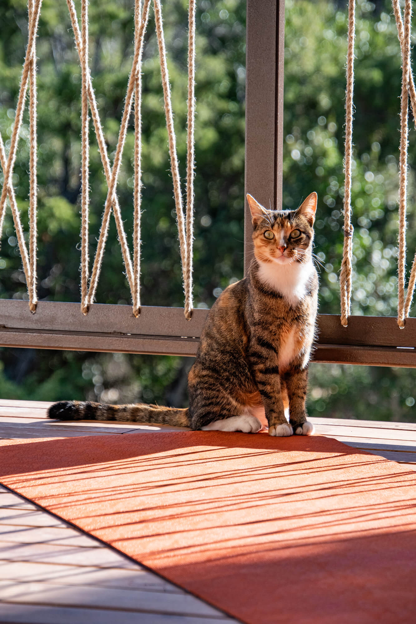 yoga-chat